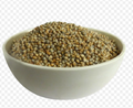 Gujarat Foods Bajri Whole 55LBS