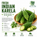 Fresh Indian Karela (Bitter Gourd / Bitter Melon)