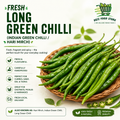Fresh Long Green Chilli (Indian Green Chilli / Hari Mirch)