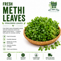 Fresh Methi Leaves (Fenugreek Leaves)