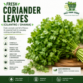 Fresh Coriander Leaves (Cilantro / Dhania)