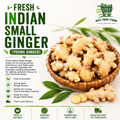 Fresh Indian Small Ginger (Young Ginger)