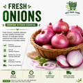 Fresh Red Onions