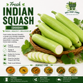 Fresh Indian Squash (Doodhi)
