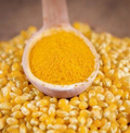 Gujarat Foods Corn Yellow 55LBS