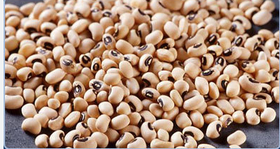 Gujarat Foods Gj Black Eye Beans [lobhia White] 20*2LBS