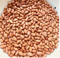 Gujarat Foods Gj Indian Peanut 400g