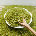 Gujarat Foods Moong Whole Large [A] 55LBS