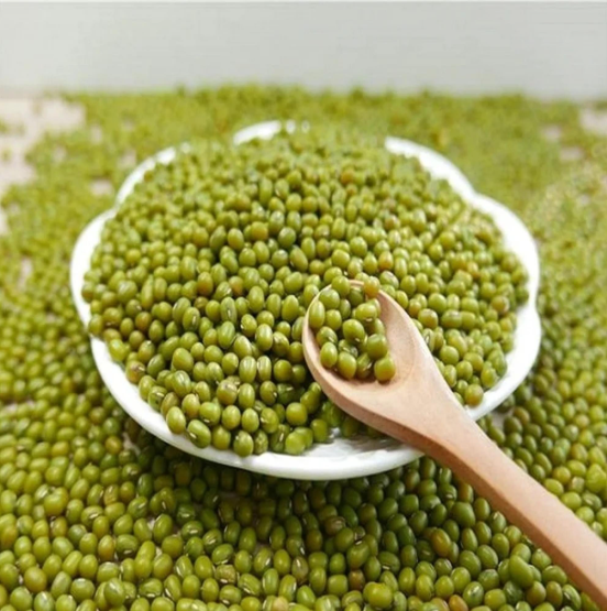 Gujarat Foods Moong Whole Large [A] 55LBS