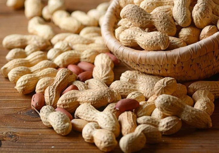 Gujarat Foods Peanut With Shell 22LBS