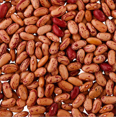 Gujarat Foods Rajma Chitra 55LBS