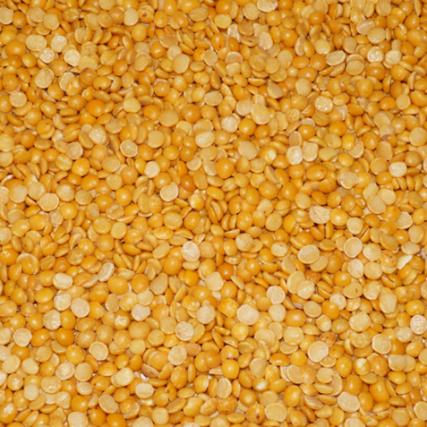 Gujarat Foods Gj Toor Dal Plain 10*4LBS