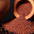 Gujarat Foods Whole Ragi 55LBS