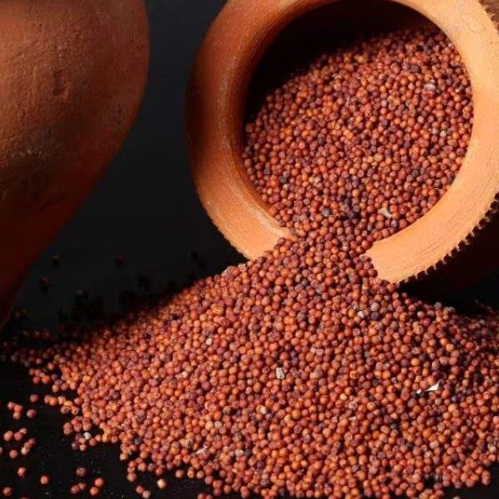 Gujarat Foods Whole Ragi 55LBS