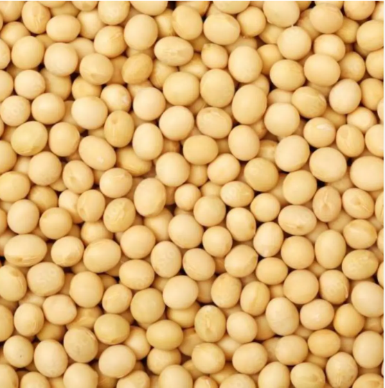 Gujarat Foods Gj Yellow Peas 20*2LBS