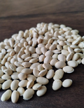 Gujarat Foods Lima Beans Small 55LBS