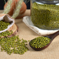 Gujarat Foods Gj Moong Whole Big  10*4LBS