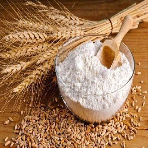 GJ All Purpose Flour 12*4LBS