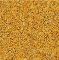 Gujarat Foods Raj Kuria 20*200g
