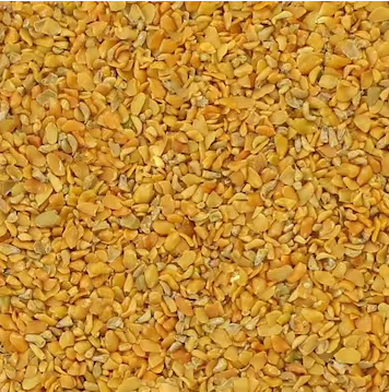 Gujarat Foods Raj Kuria 20*200g