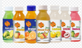 Gujarat Foods Sosyo Mix Fruit 24*300gm