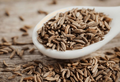 Telugu Foods Caraway Seeds [Shajeera] 100g