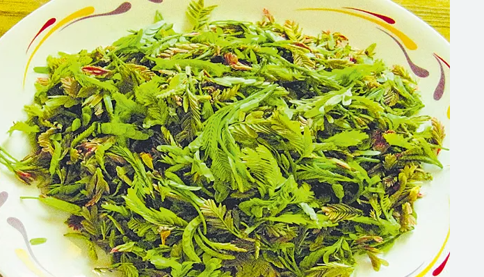 Telugu Foods Chintachiguru Leaves 100g