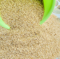 Telugu Foods Little Millet Upma Rava 2LBS