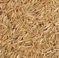Telugu Foods LX Brown Basmati Rice 4*10LBS