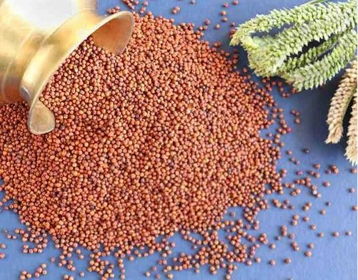 Telugu Foods Swetha TF Baranyard Millet 2LBS