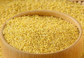 Telugu Foods Swetha TF Foxtail Millet 2LBS
