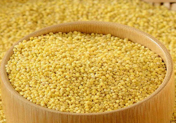 Telugu Foods Swetha TF Foxtail Millet 2LBS